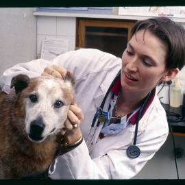 Carrie Balneaves Veterinary Science Student with a Dog