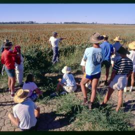 Agriculture Students in the Fields