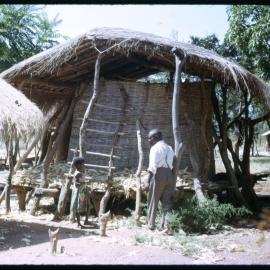 Branch-Framed Hut with Straw Roof