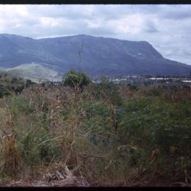 Field with Mountain in Background