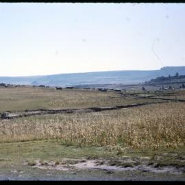 Field with Village in Background