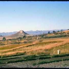 Fields with Mountains in Background