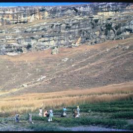 Group of People Farming