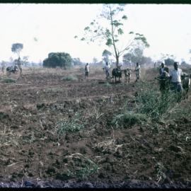 Men Ploughing Field