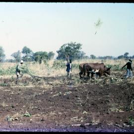 Men Ploughing Field