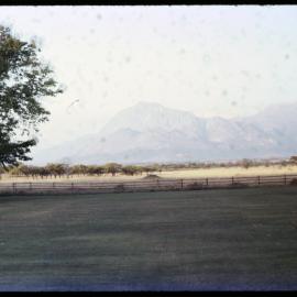 Fields with Mountains in Background