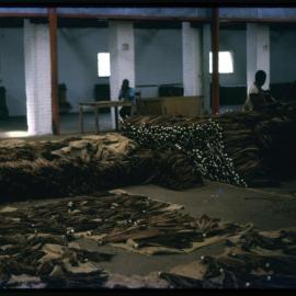 Bundles of Dried Tobacco Leaves
