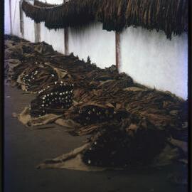 Bundles of Dried Tobacco Leaves