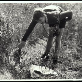 Roger Carolin at Myall Lakes National Park