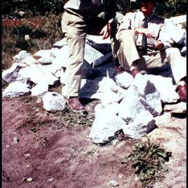 Botany Excursion to Kosciusko