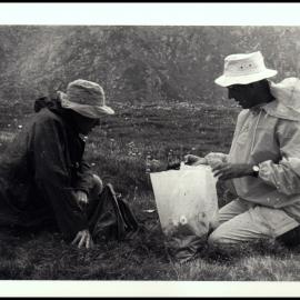 Collecting Specimens on Botany Kosciusko Excursion