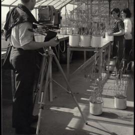 Students Completing a Crop Growth Experiment