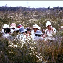 Hats in the Heath