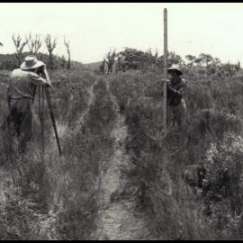 Survey at Myall Lakes
