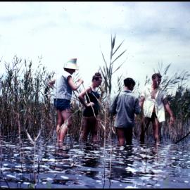 Botany Excursion to Myall Lakes
