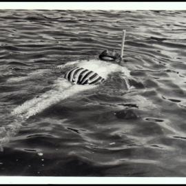Botany Excursion to Myall Lakes