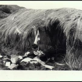 Helen Hewson Sorting Specimens