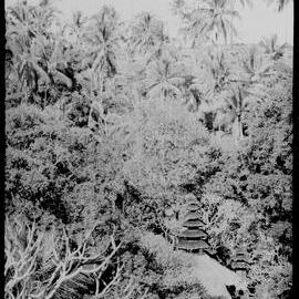 Temple Roof in Indonesian Forest