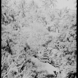 Temple Roof in Indonesian Forest