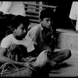 Two Boys, Indonesia