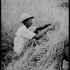Man Sitting in Field