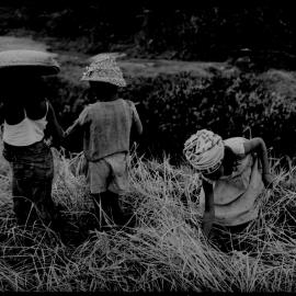 Children in Field with Baskets