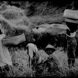 Children in Field with Baskets