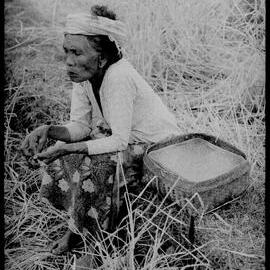 Woman Sitting in Field