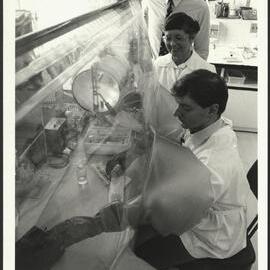 Professor WR Hume with Researchers Diane Romberg, Technical Officer, and Ward Massey, Postgraduate Student