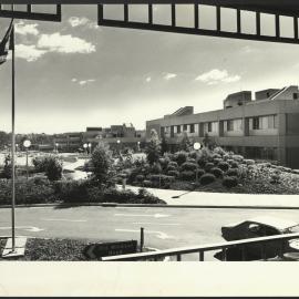 The Westmead Centre with the Dental Clinical School Far in the Background