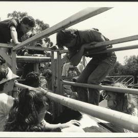 Close-Up View of Veterinary Science Students at a Cattle Walking Pen Listening to a Lecture - Camden 1989