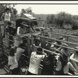Veterinary Science Students at a Cattle Walking Pen Listening to a Lecture with Farm in Background - Camden