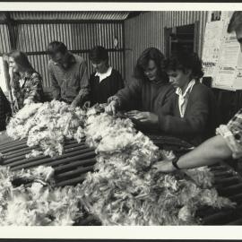 First Year Veterinary Students at Camden Skirting Wool They Have Shorn