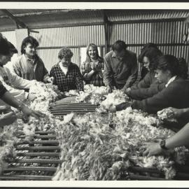 First Year Veterinary Students at Camden Skirting Wool They Have Shorn