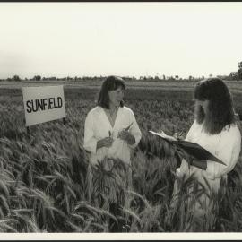 Louisa Robertson and Nicky Bailey Inspect a New Variety of Wheat at Narrabri Plant Breeding Institute