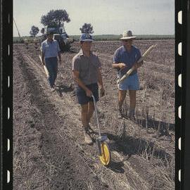 Three Officers Sowing Sorghum at Livingston Farm Moree