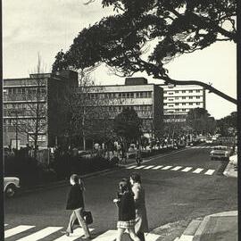 View Along Eastern Avenue Towards City Road Showing Five Pedestrian Crossings Across Eastern Avenue