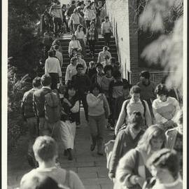 Students on Their Way to University and Lectures