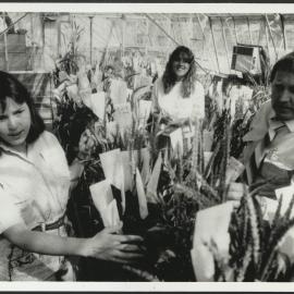 Agriculture Students and Supervisor in McMillan Building Greenhouse, Camperdown Campus