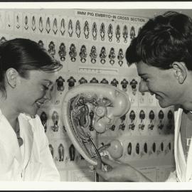 Biology - Students with Embryology Model