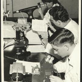 Pharmacy Laboratory - Students Using Microscopes