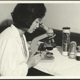 Pharmacy Student Engaged in Pharmacognosy