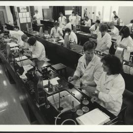 Old Pharmacy Laboratory with Third Year Students Working at Several Long Benches