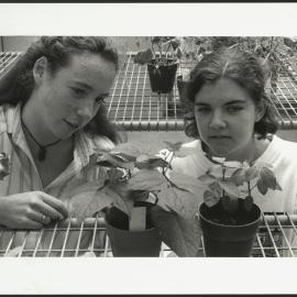 Two Horticulture Students in Greenhouse with Plants 