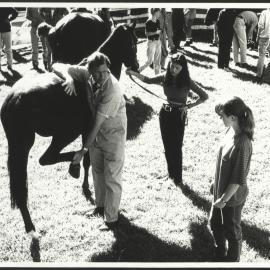 Professor Reuben Rose Instructing Veterinary Science Students in Equine Lameness Diagnosis