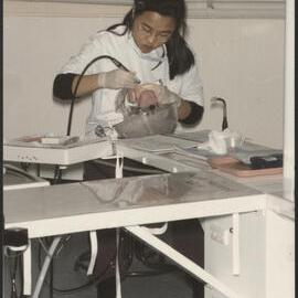 Dental Student in Laboratory Working on Dentures
