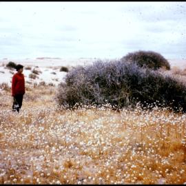 Jan Jacobs Near Bourke