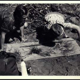 Helen Hewson and Surrey Jacobs Measure Plants near Bourke