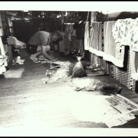 Derek Anderson Sorting Specimens on Botany Excursion to Mungo Brush
