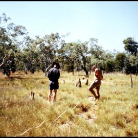 Planning a Transect near Newcastle Waters, Northern Territory